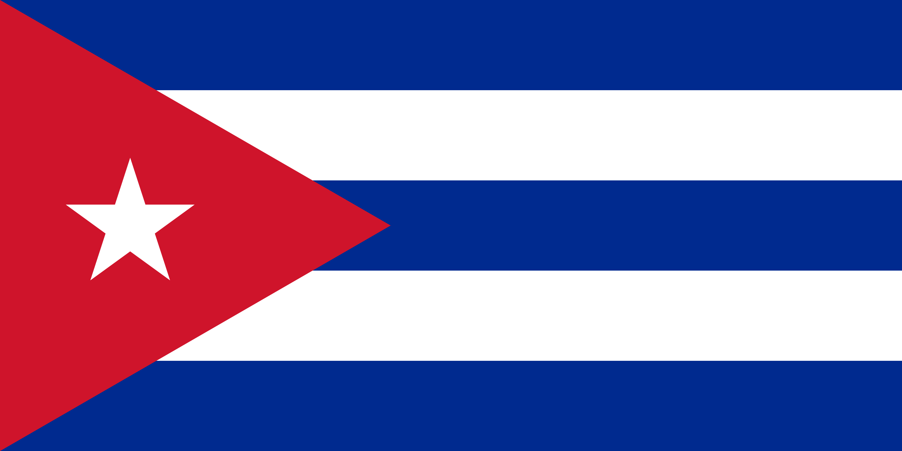 Tanzania flag