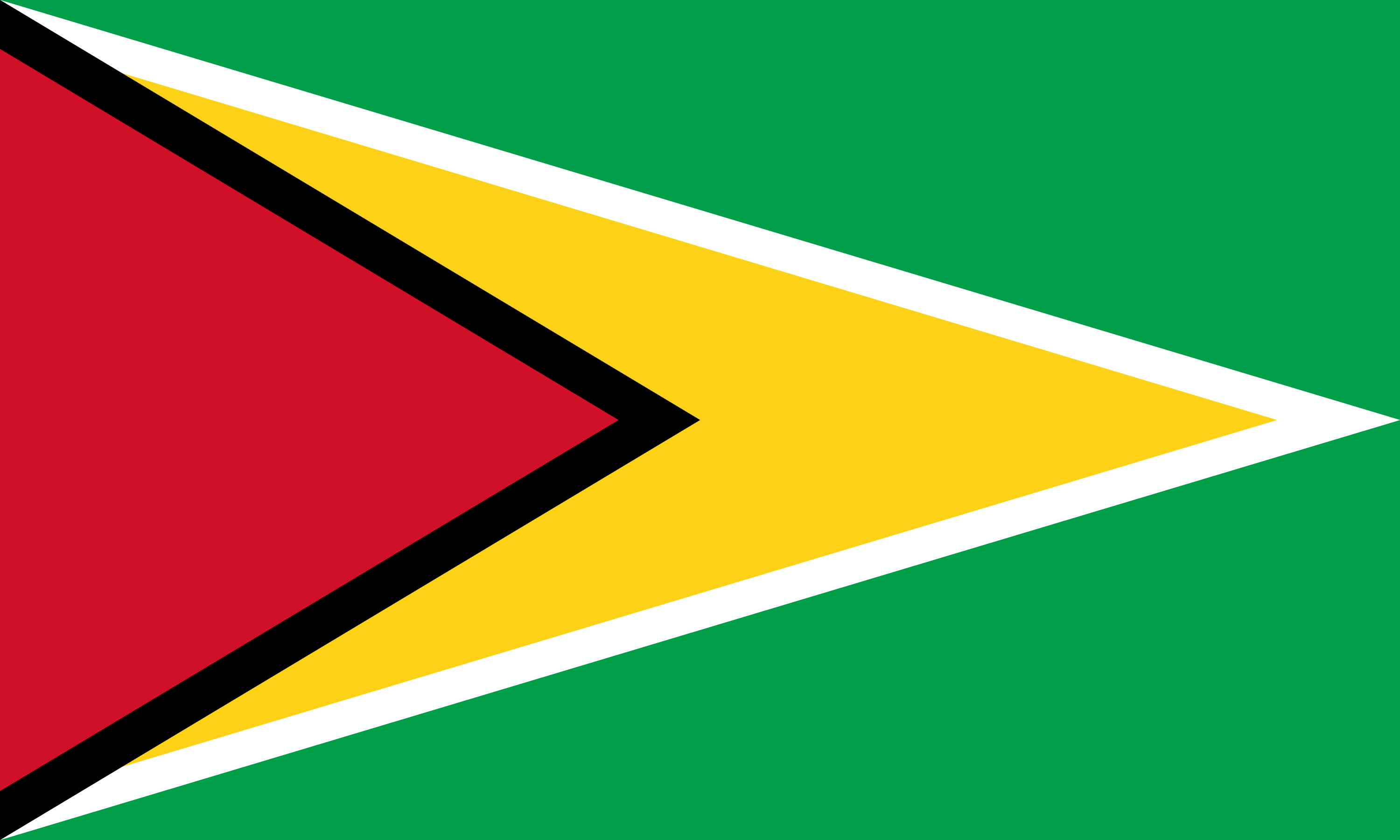 Tanzania flag