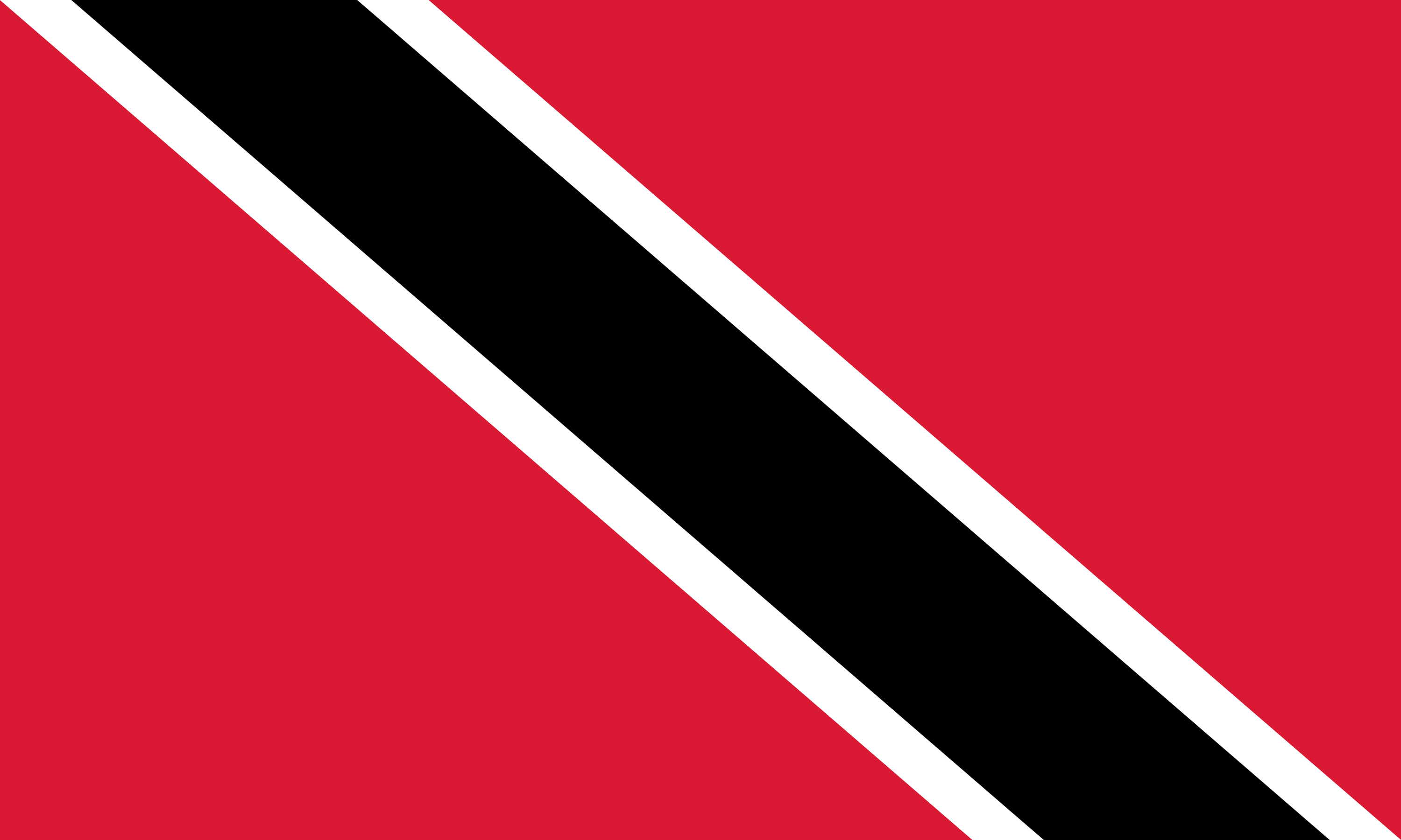 Tanzania flag
