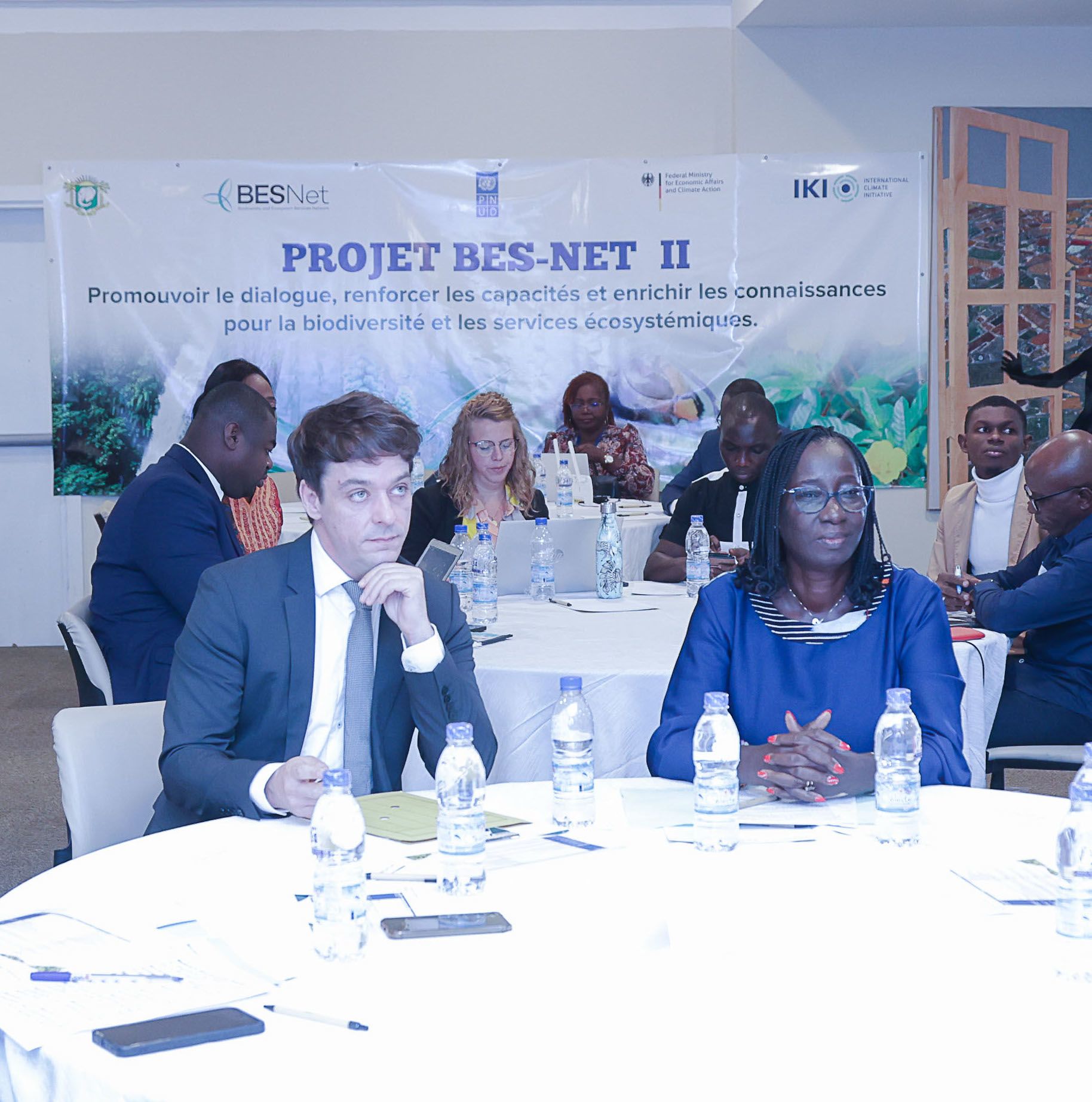A close-up of a cacao tree trunk with several cacao pods growing on it.