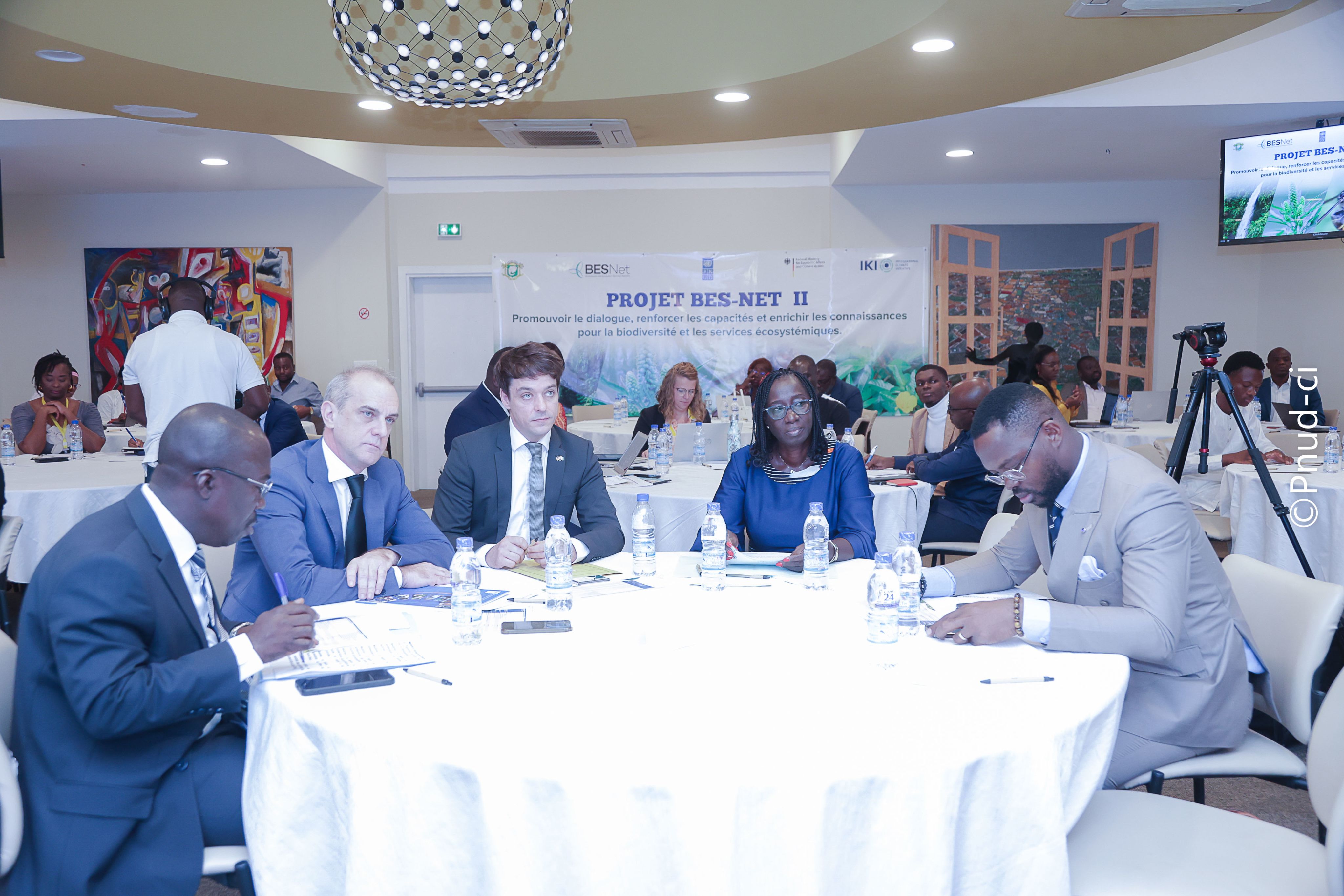 A close-up of a cacao tree trunk with several cacao pods growing on it.