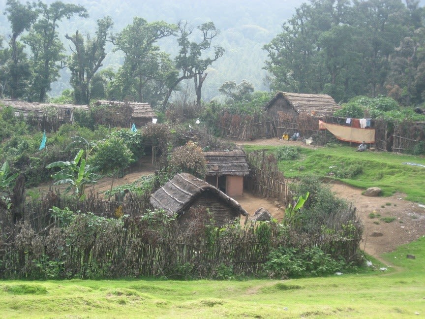 Soligas dwelling in the forest