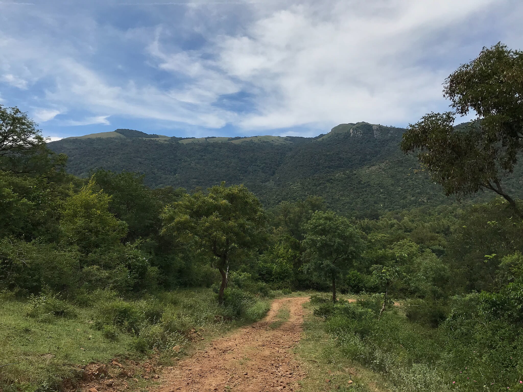 Photo showing the hills at the eastern side of BRT Tiger Reserve.