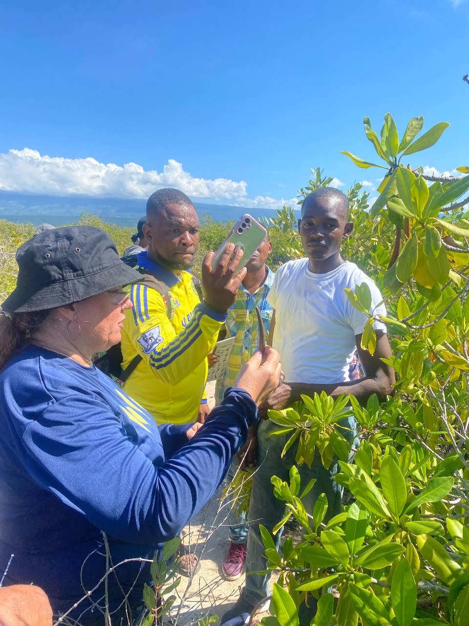 Aleyda Capella wearing a blue long-sleeve shirt and a black hat, engaging with a group of people in a mangrove area, examining a plant under bright sunlight