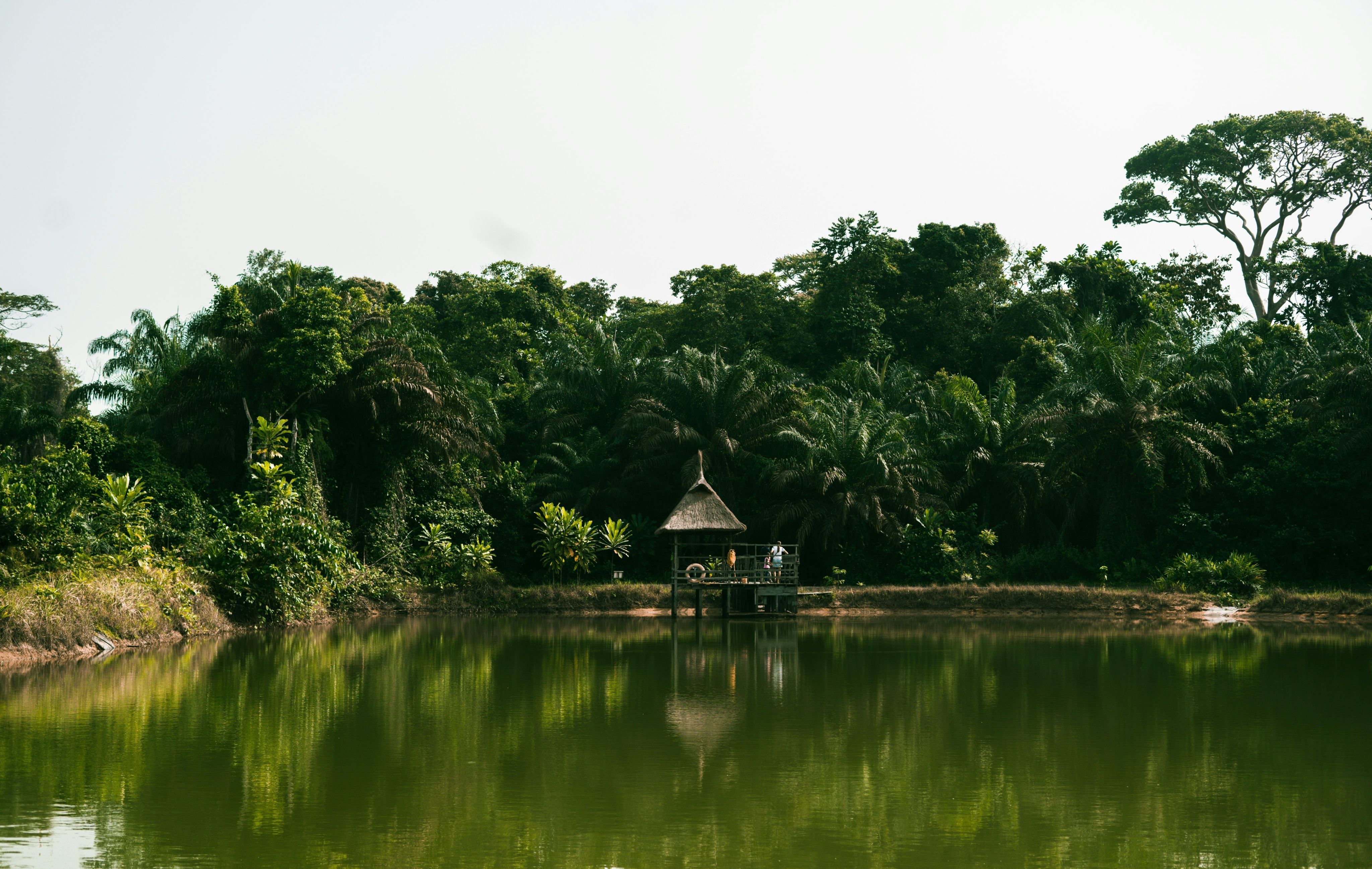a lake with a hut and trees