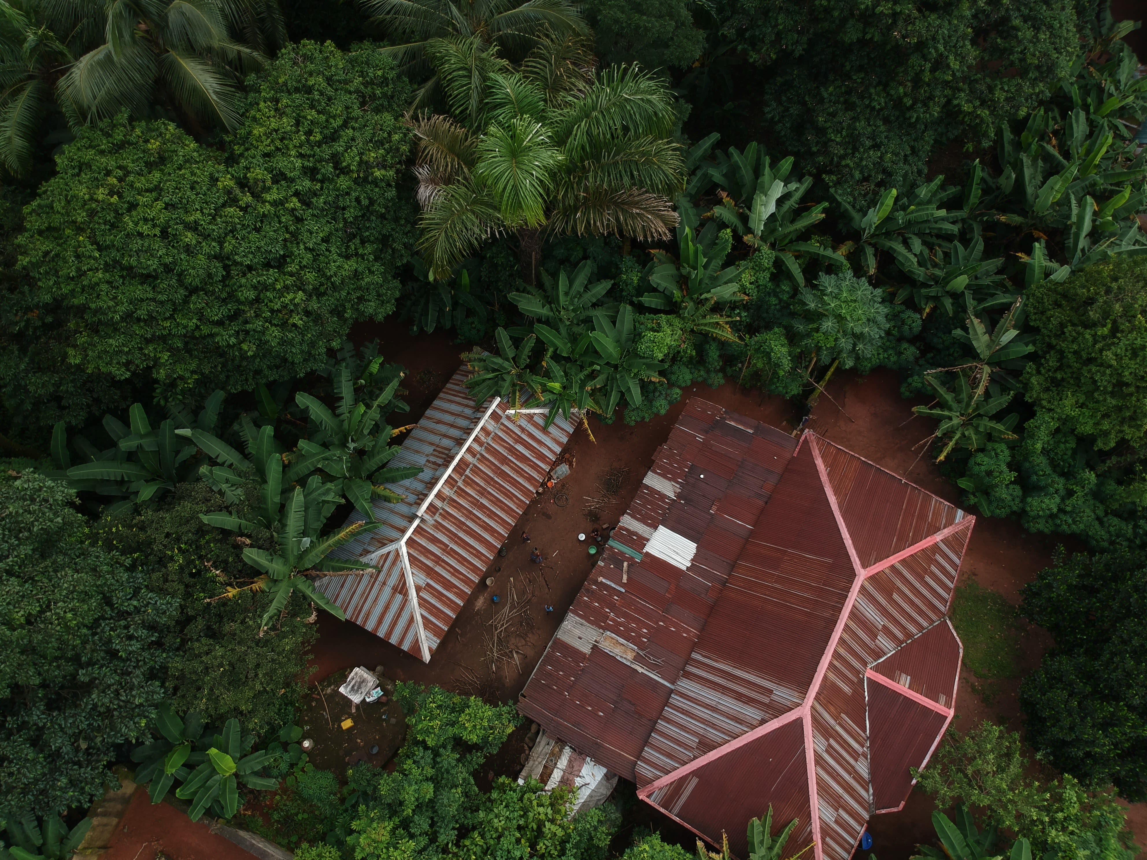 aerial photo of a house surrounded by trees