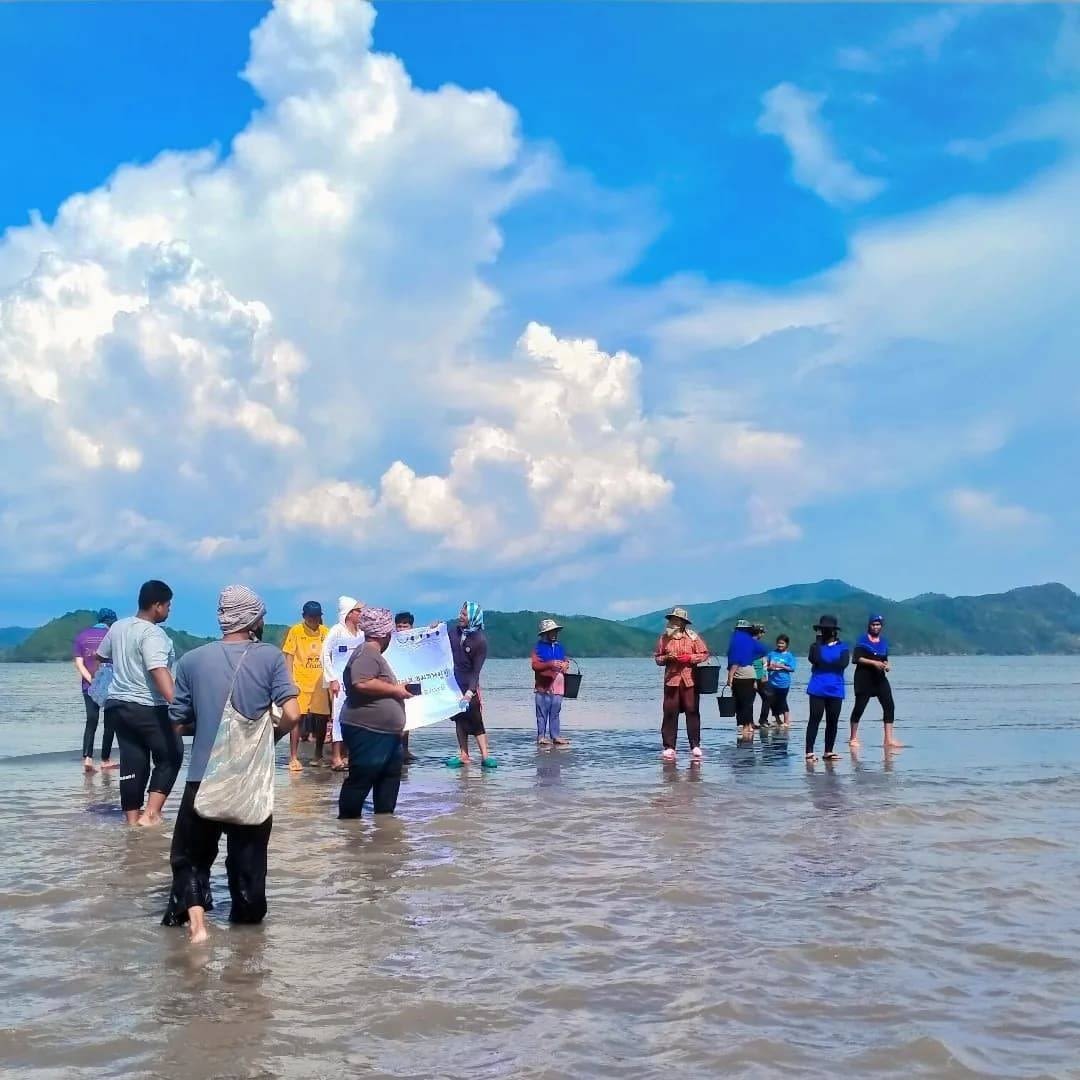 Jum Island youth activity of replanting seagrass along the seagrass beds.  