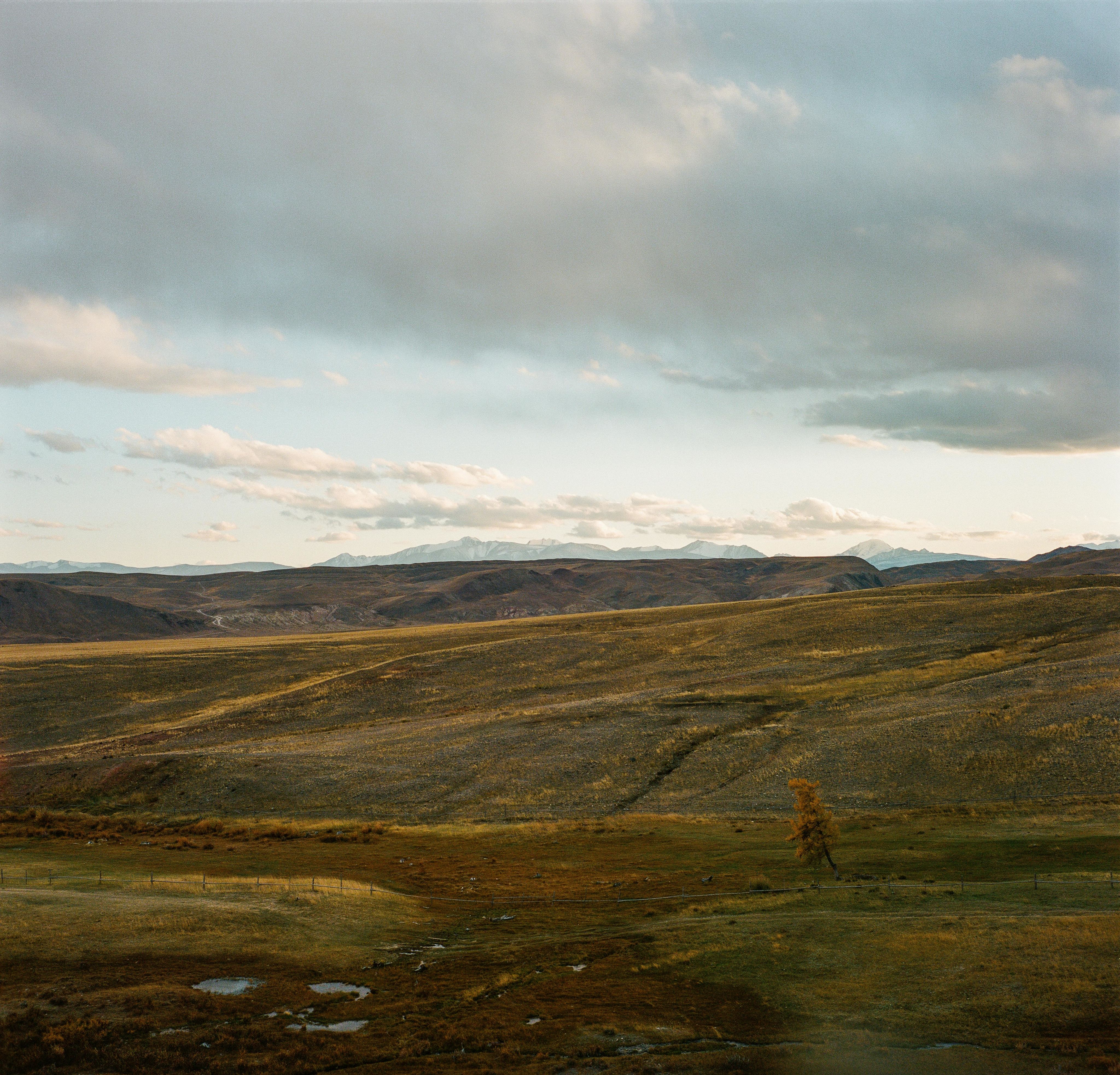 landscape of green hills