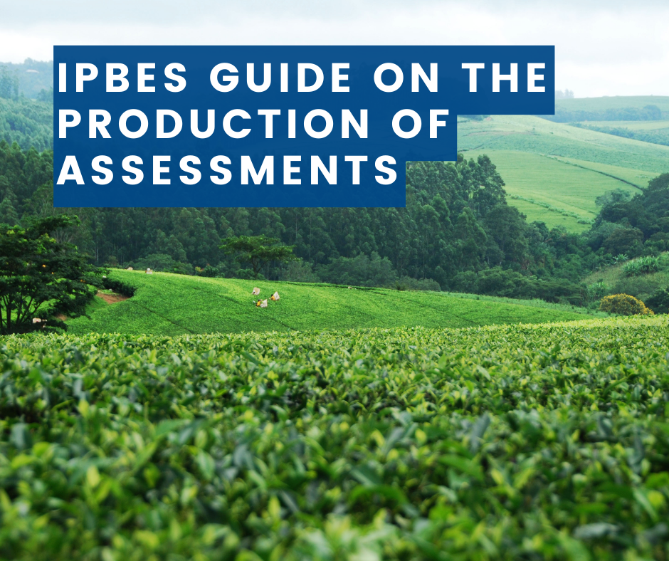 Text in the photo: IPBES Guide on the Production of Assessments