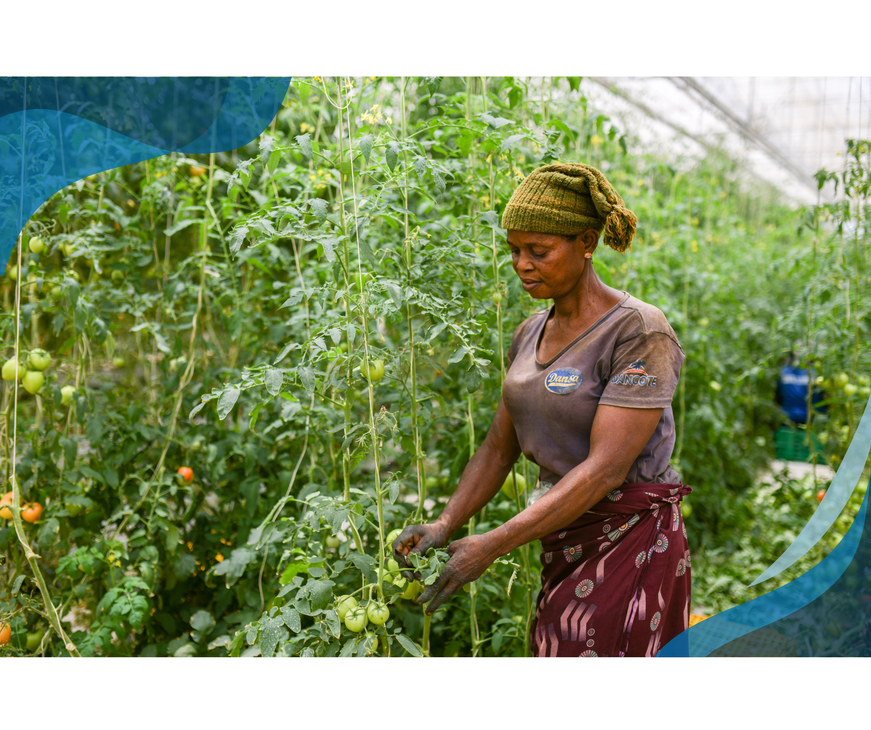 A woman in a brown shirt and knit hat tends to plants in a greenhouse, surrounded by lush green foliage.
