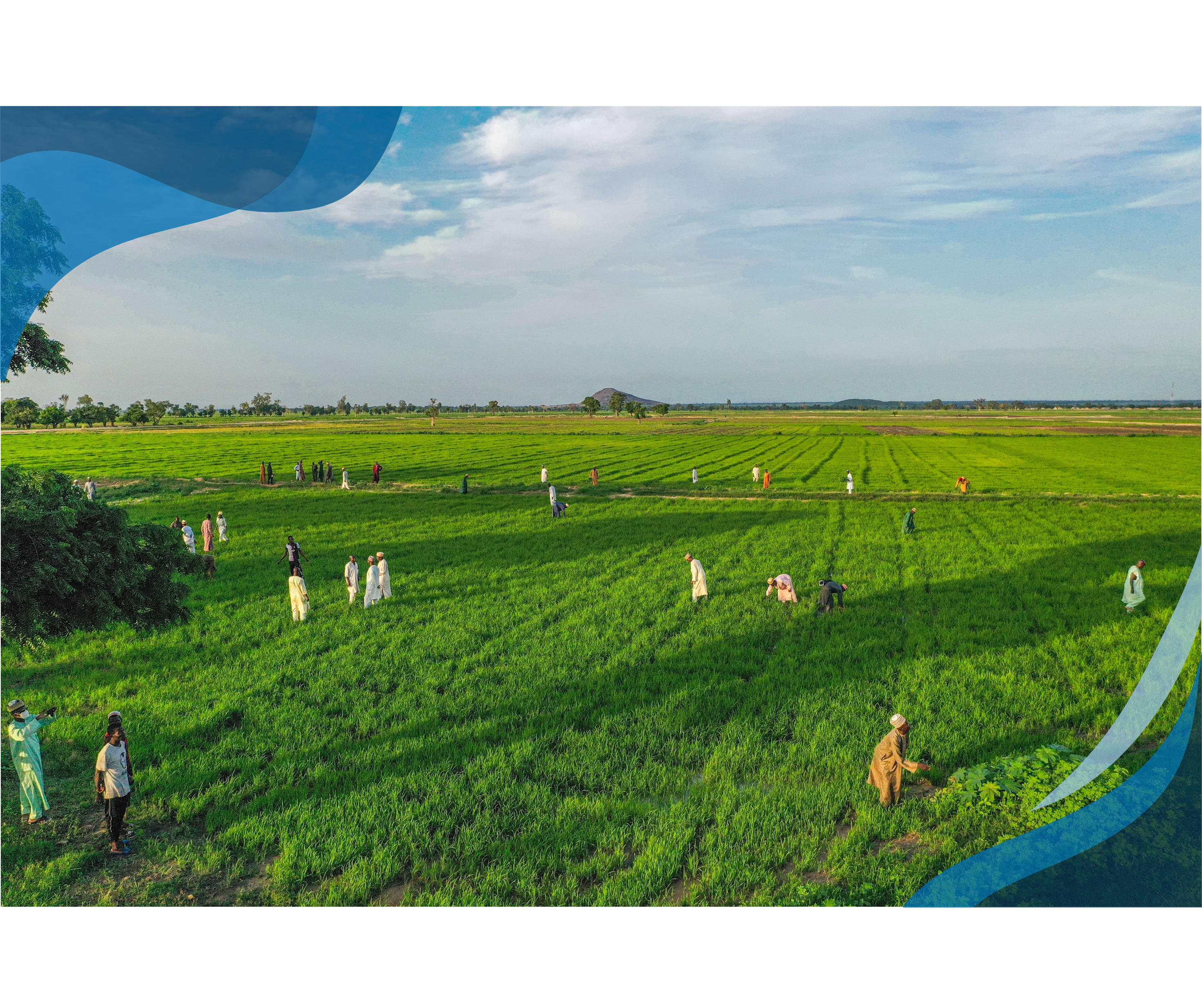 An aerial view of a large green field with scattered groups of people working and walking, under a blue sky with scattered clouds.