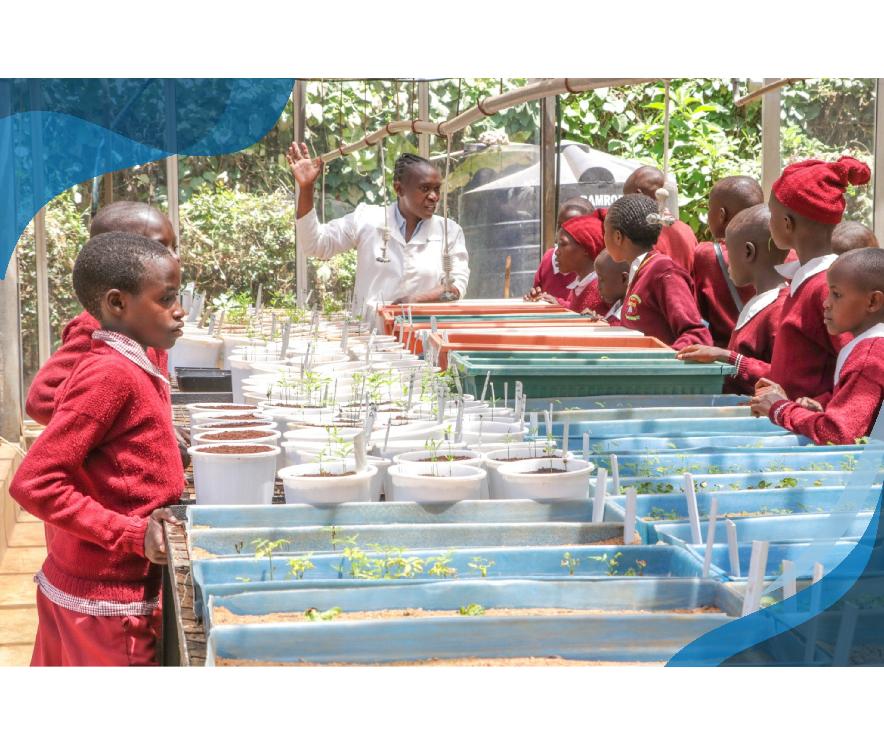 A group of schoolchildren in red uniforms listen attentively to a teacher in a greenhouse, surrounded by various potted plants and seedlings on tables.