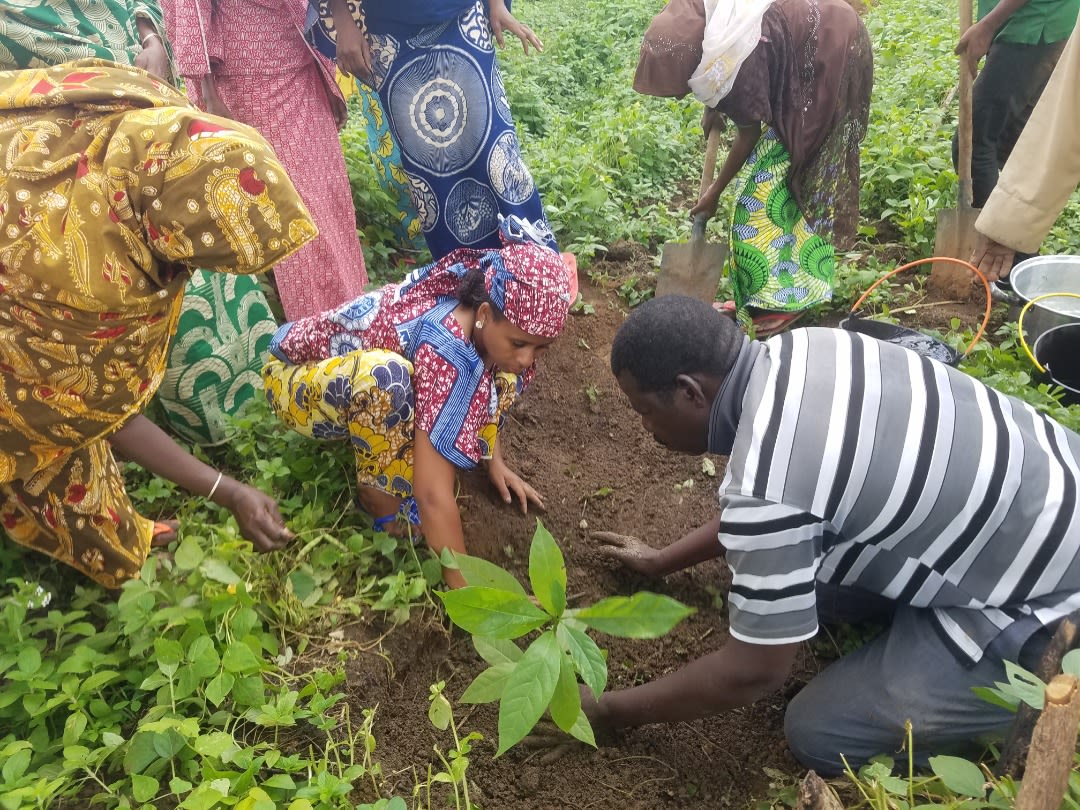 A group of people, dressed in vibrant traditional clothing, work together to plant and tend to crops in a green field.