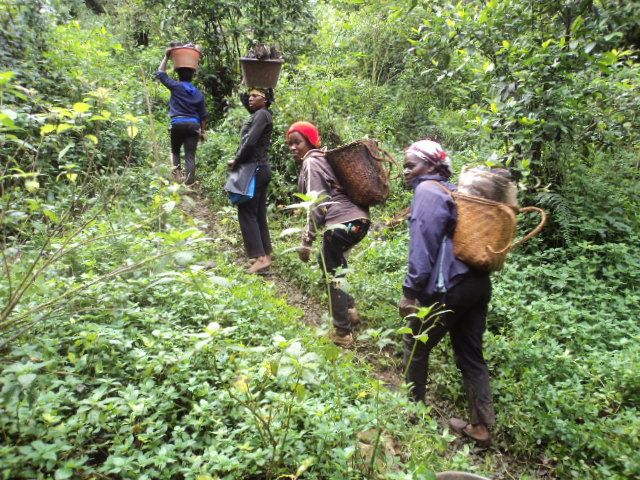 Group of women using farm baskets