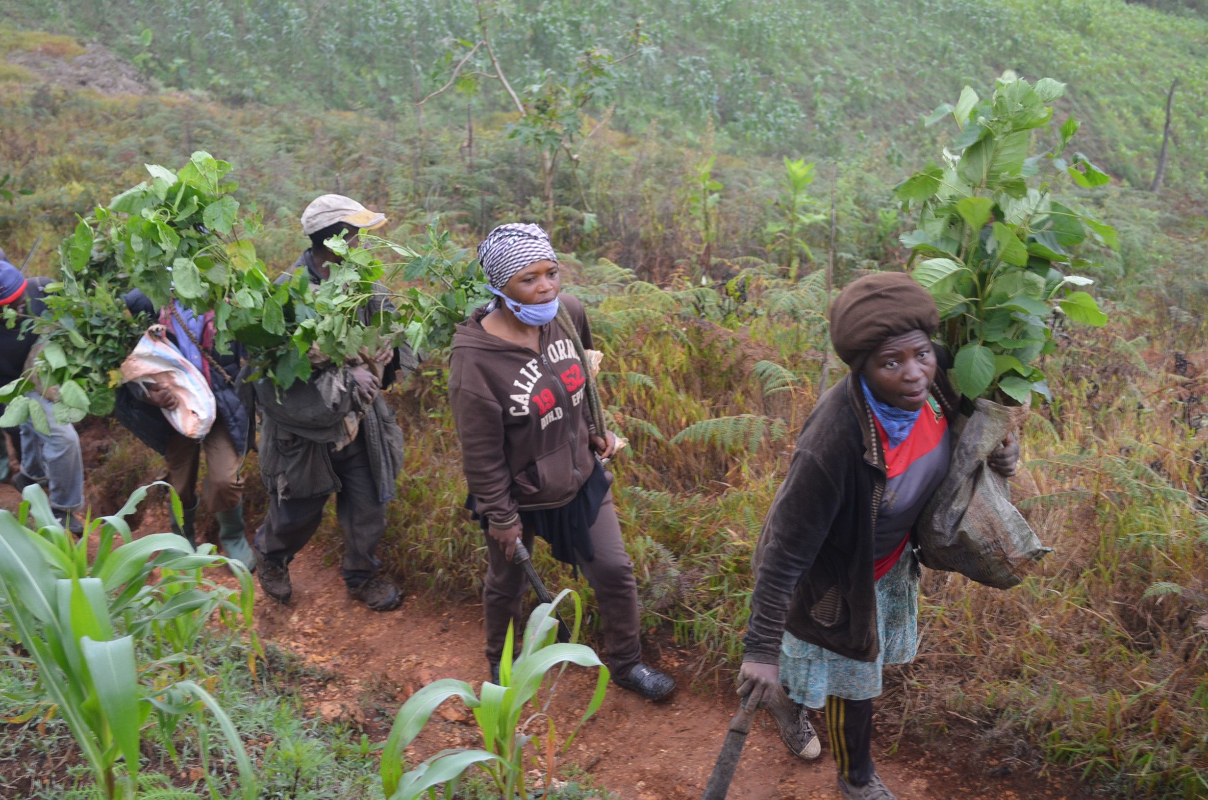 Group of farmers walking on a trail