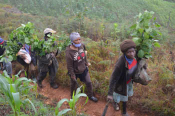 Group of farmers walking on a trail