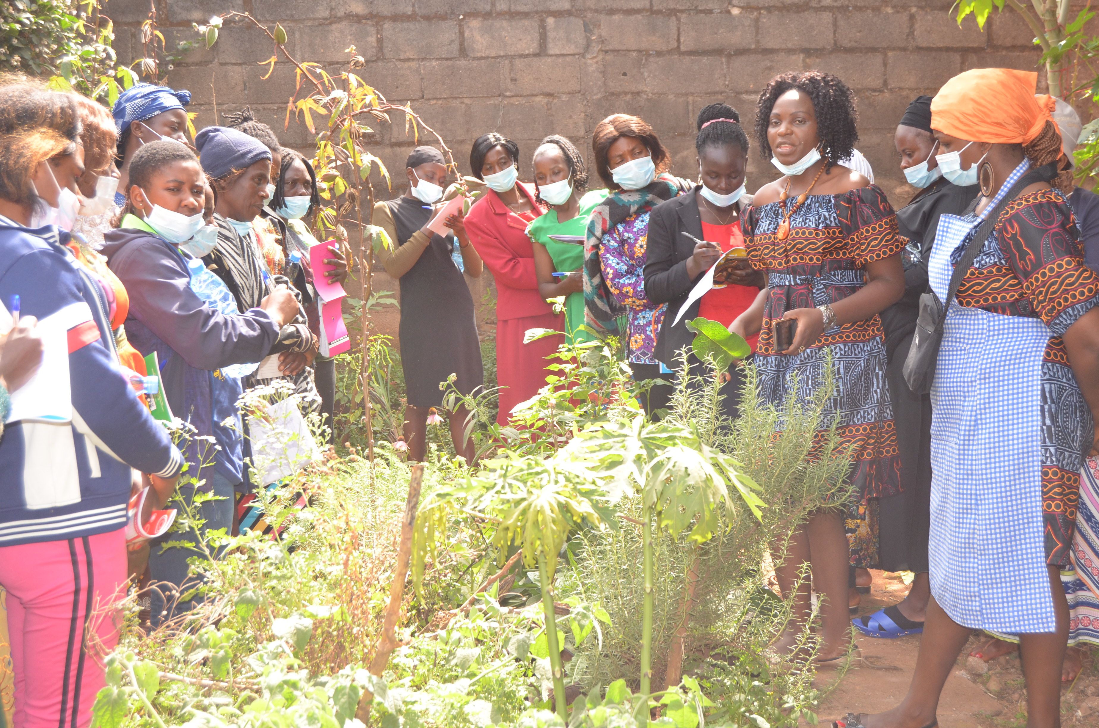 Group of women gathering for an outdoor group discussion