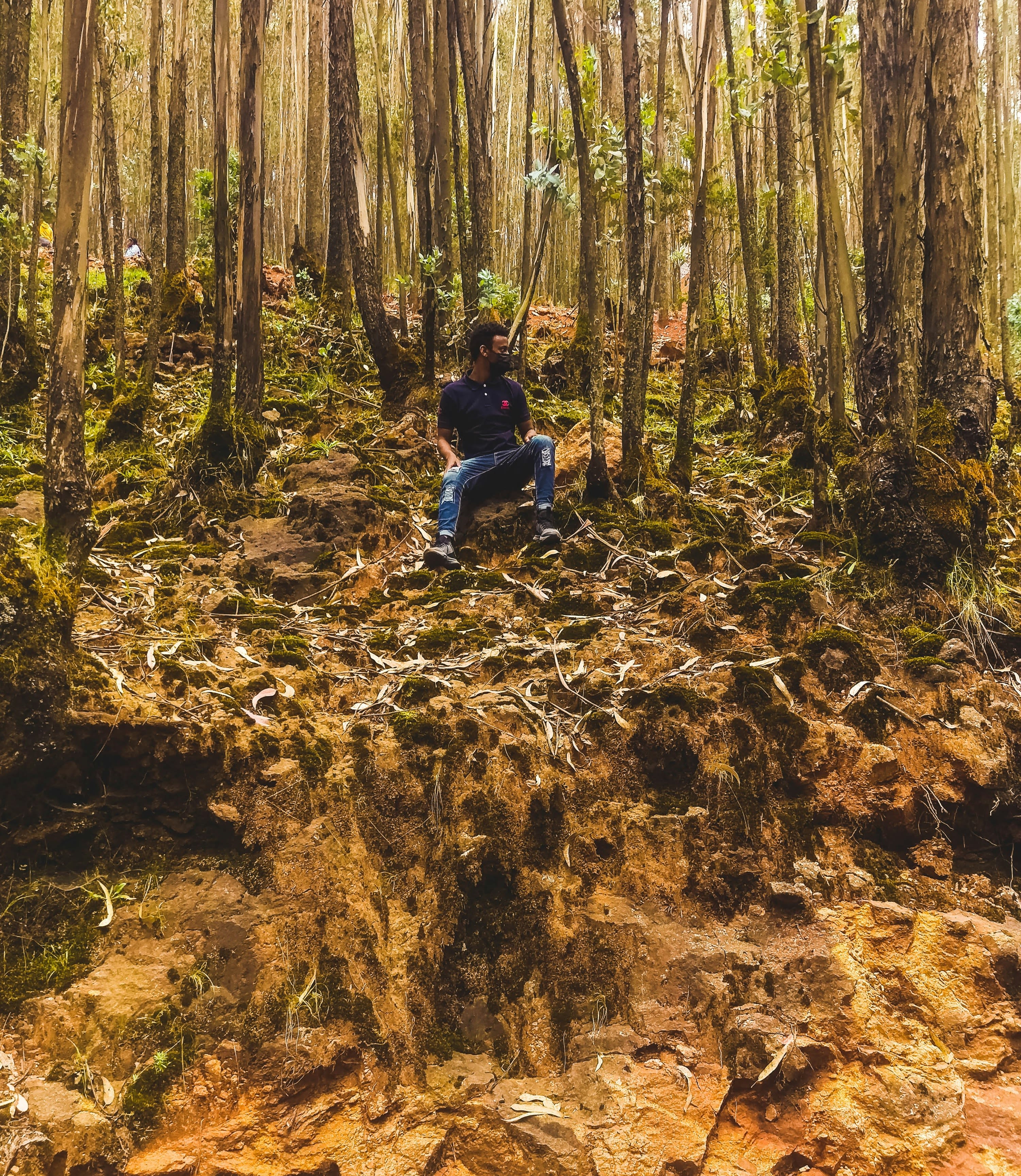  Entoto Park, Addis Ababa, Ethiopia