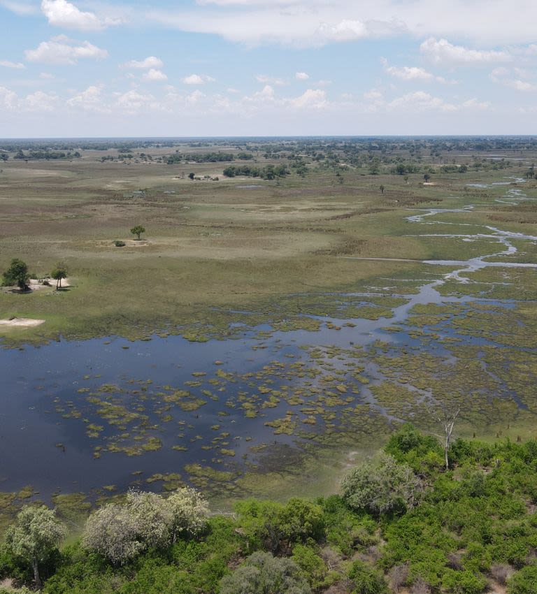 A wide savanna landscape with a water-filled wetland, scattered trees, and a bright blue sky.