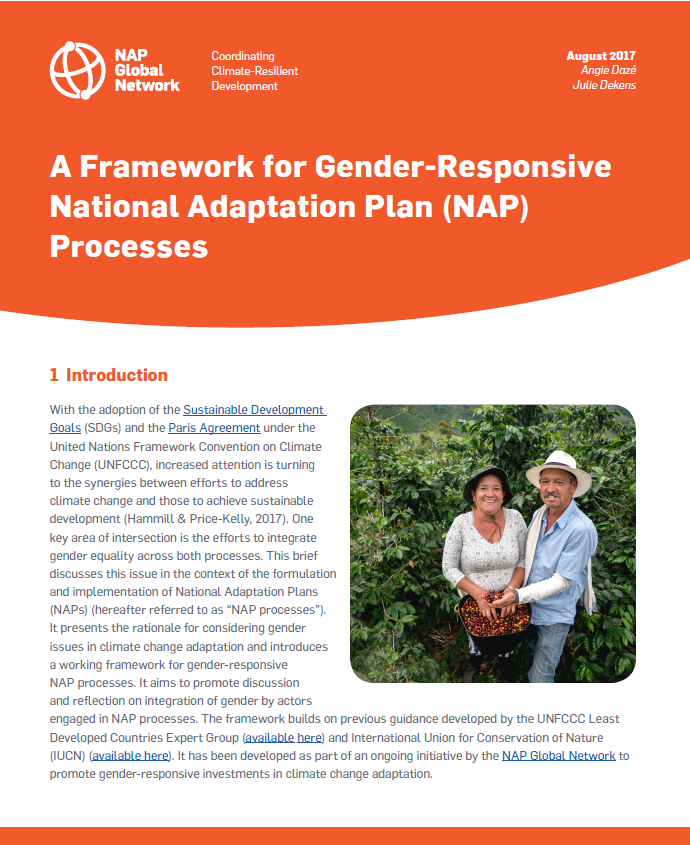 A Framework for Gender Responsive NAP Processes