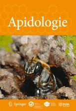 Bee conservation policy at the global, regional and national levels