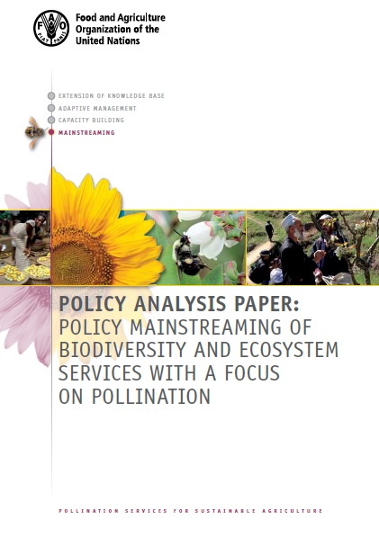 Policy Mainstreaming of Biodiversity and Ecosystem Services with Focus on Pollination