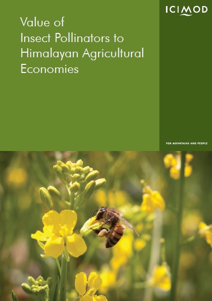 Value of insect pollinators to Himalayan agricultural economies