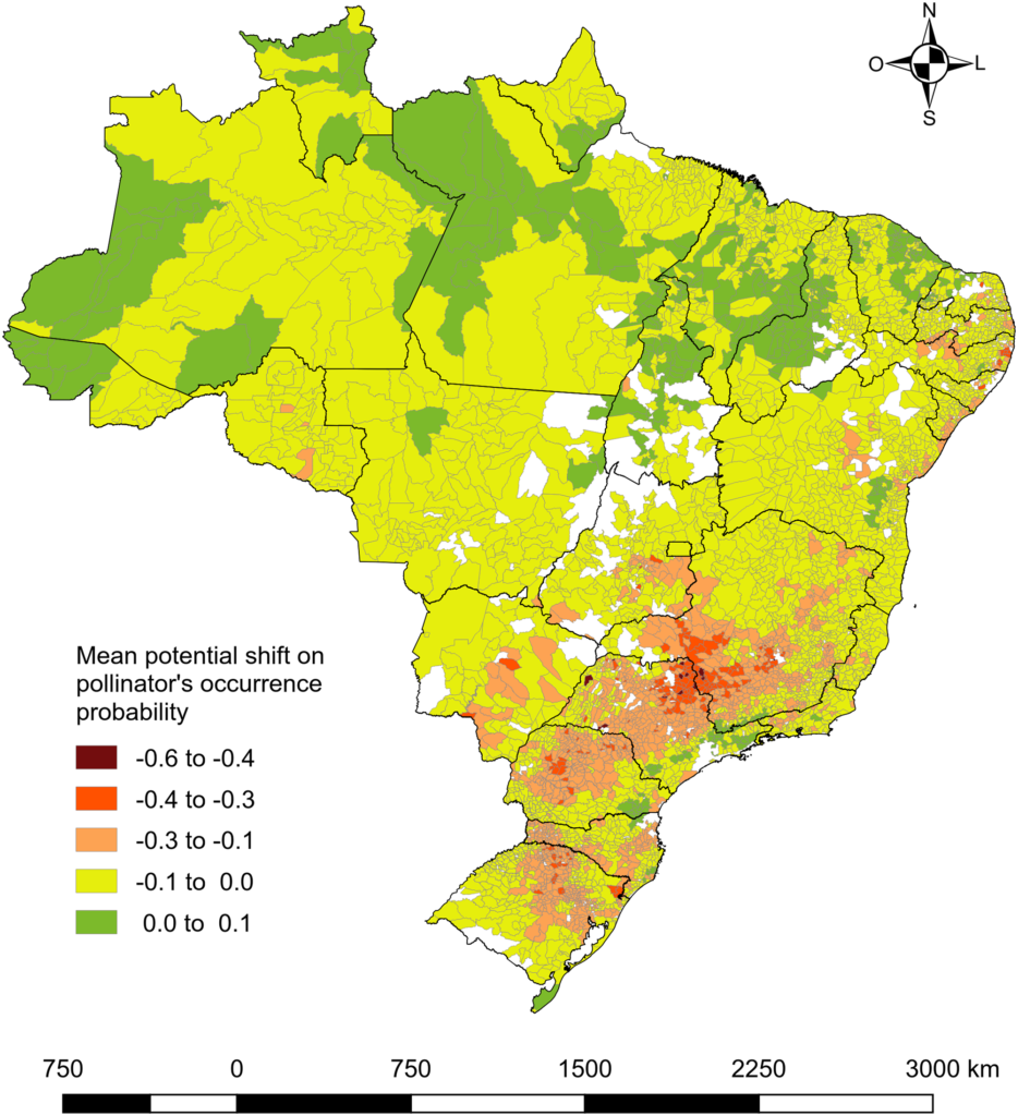 Brasil Pollinators