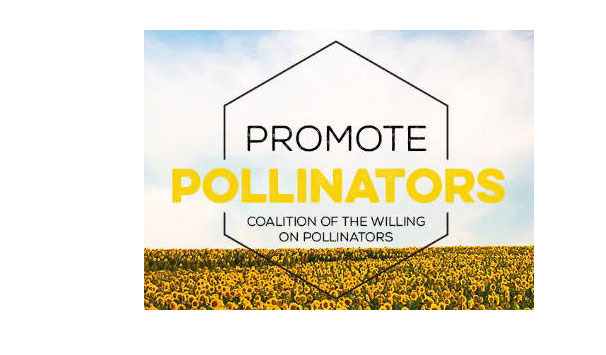 promote_pollinators3