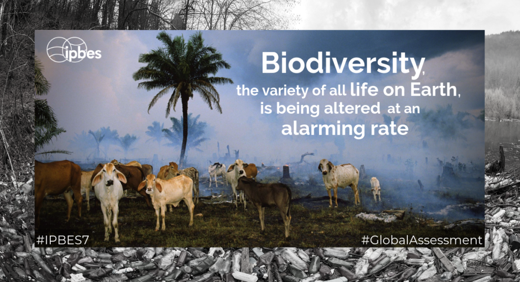 IPBES 7 LAUNCH