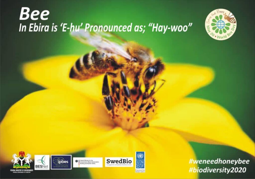WorldBeeDay2020_Nigeria2