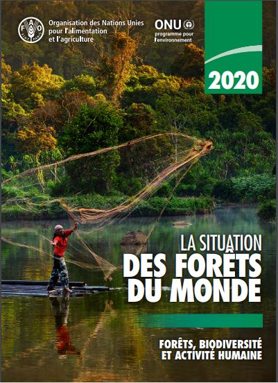 Forests report french