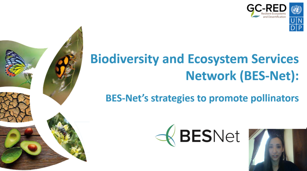 Webinar_Pollinators_Yuko