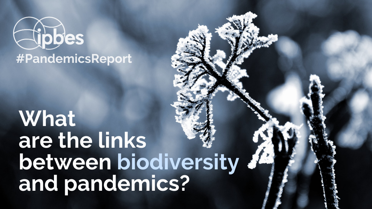 Link between biodiversity and pandemics_IPBES