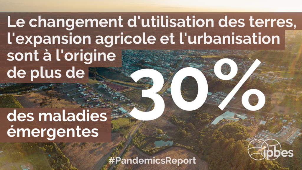 Changement de affectation des terres 30 pourcent des maladies