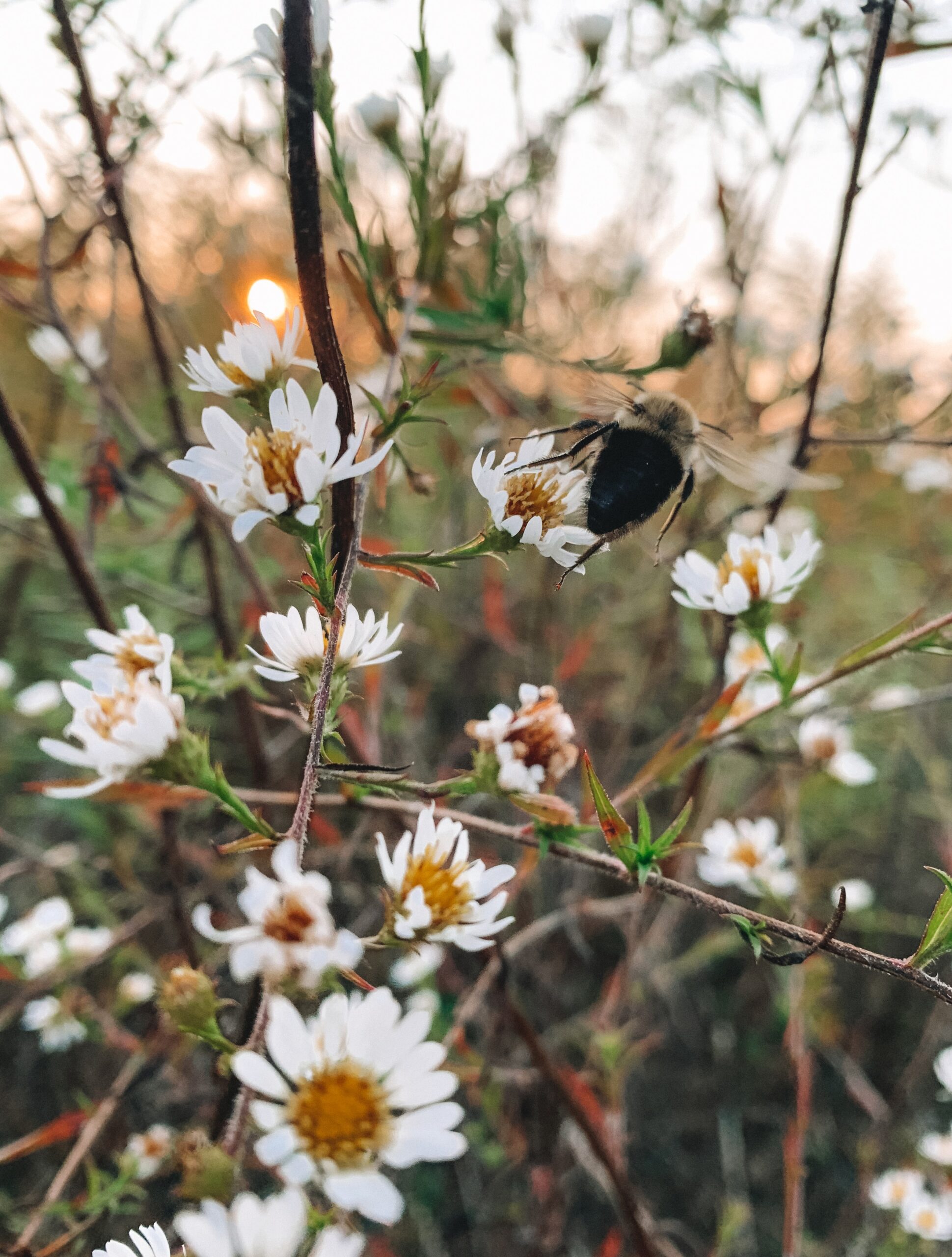 Photo by Isabella Jusková-on Unsplash