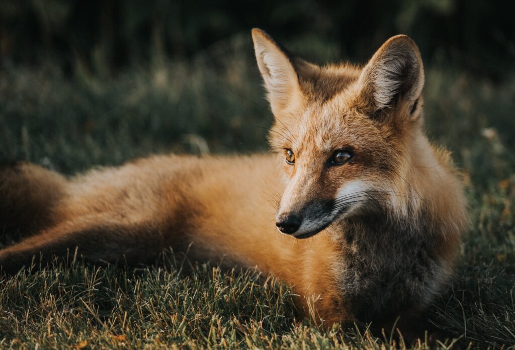 Photo by Jeremy Vessey- On Unsplash