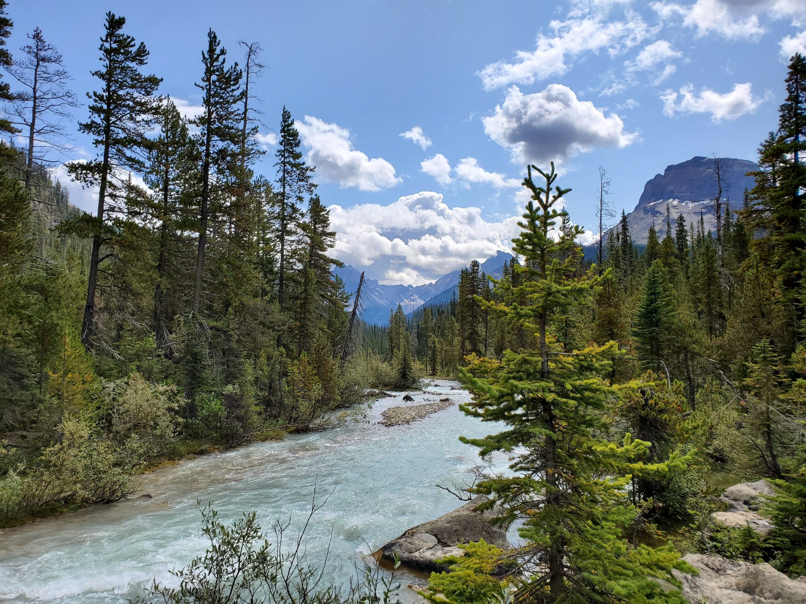 Photo by Matthew Bargh- On Unsplash