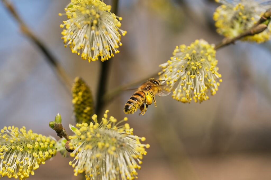 Photo by Stefanie Poepken-On Unsplash