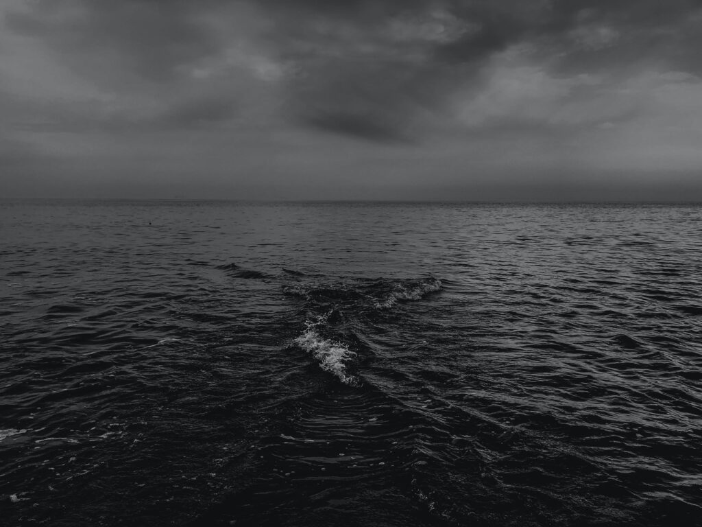 Photo by Vasy Cotorobai-On Unsplash