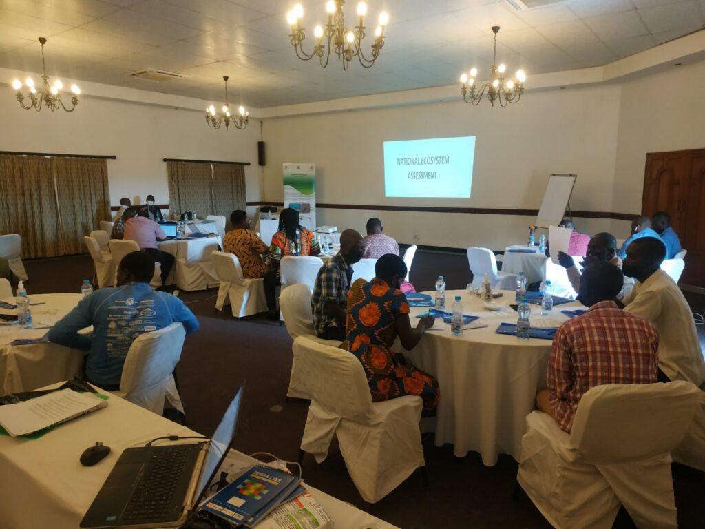 BES-Net supports Indigenous and local knowledge in ecosystem assessments