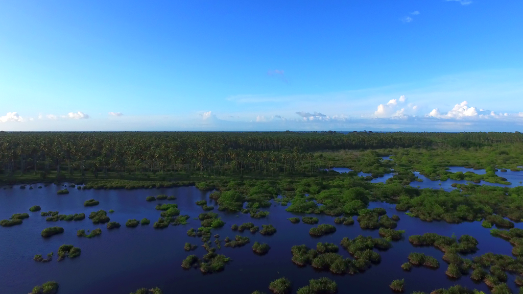 Grueslayer, CC BY-SA 4.0 , via Wikimedia Commons