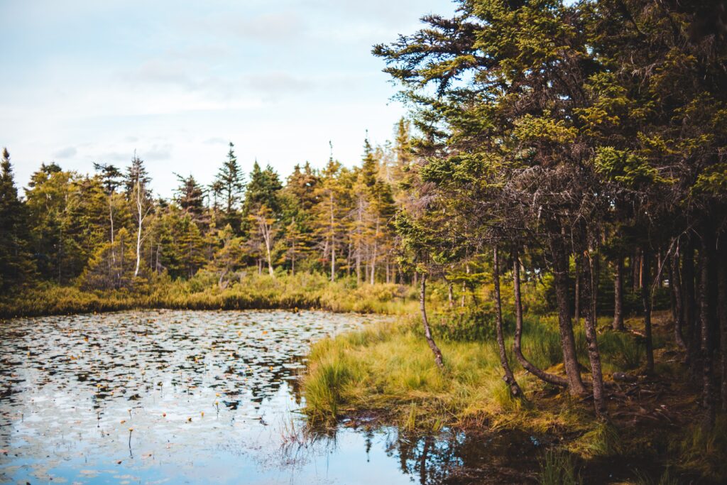 Photo by Erik Mclean on Un-Splash