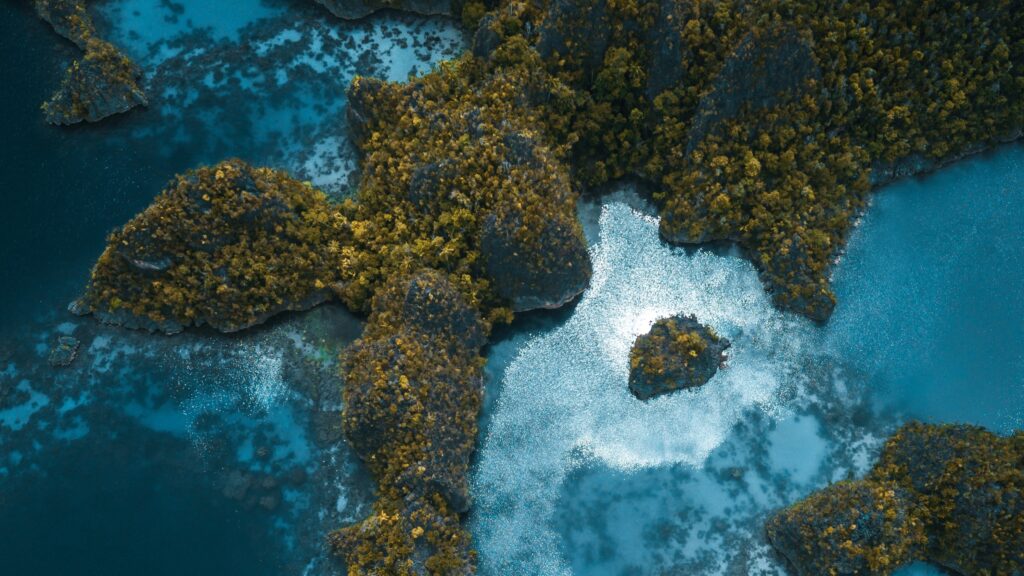 Photo by Stijn Dijkstra on Pexels