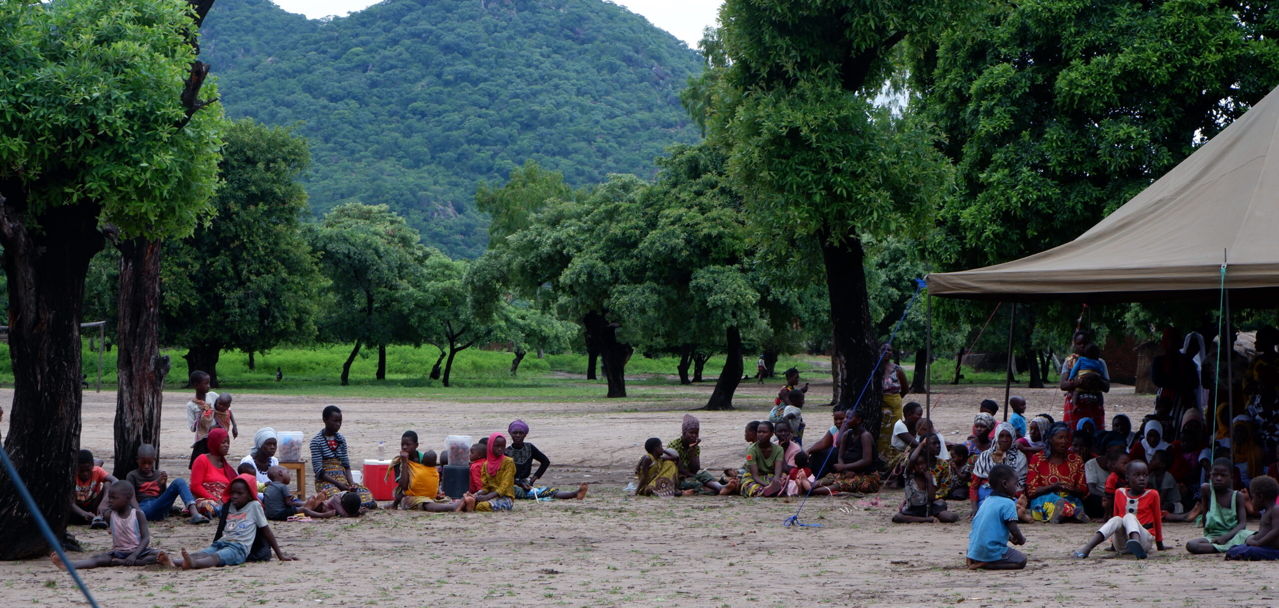 Malawi Trialogue participants sitting outdoors, with nature on the background