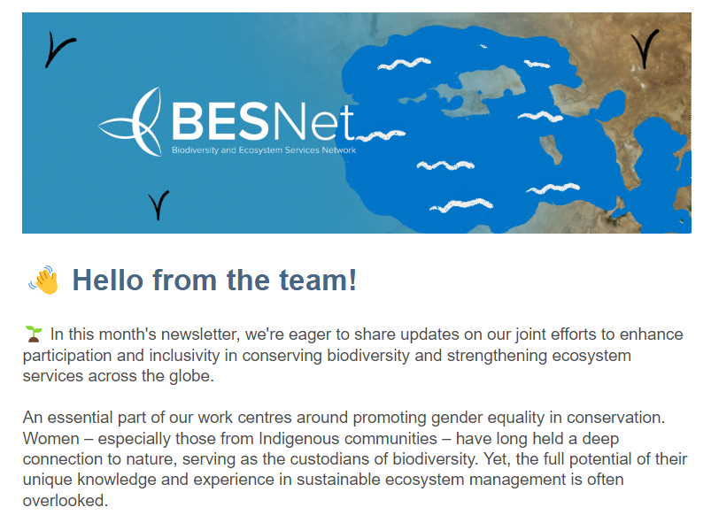 Illustration showing BES-Net logo and blue background