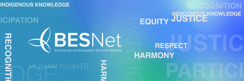 word cloud on human rights