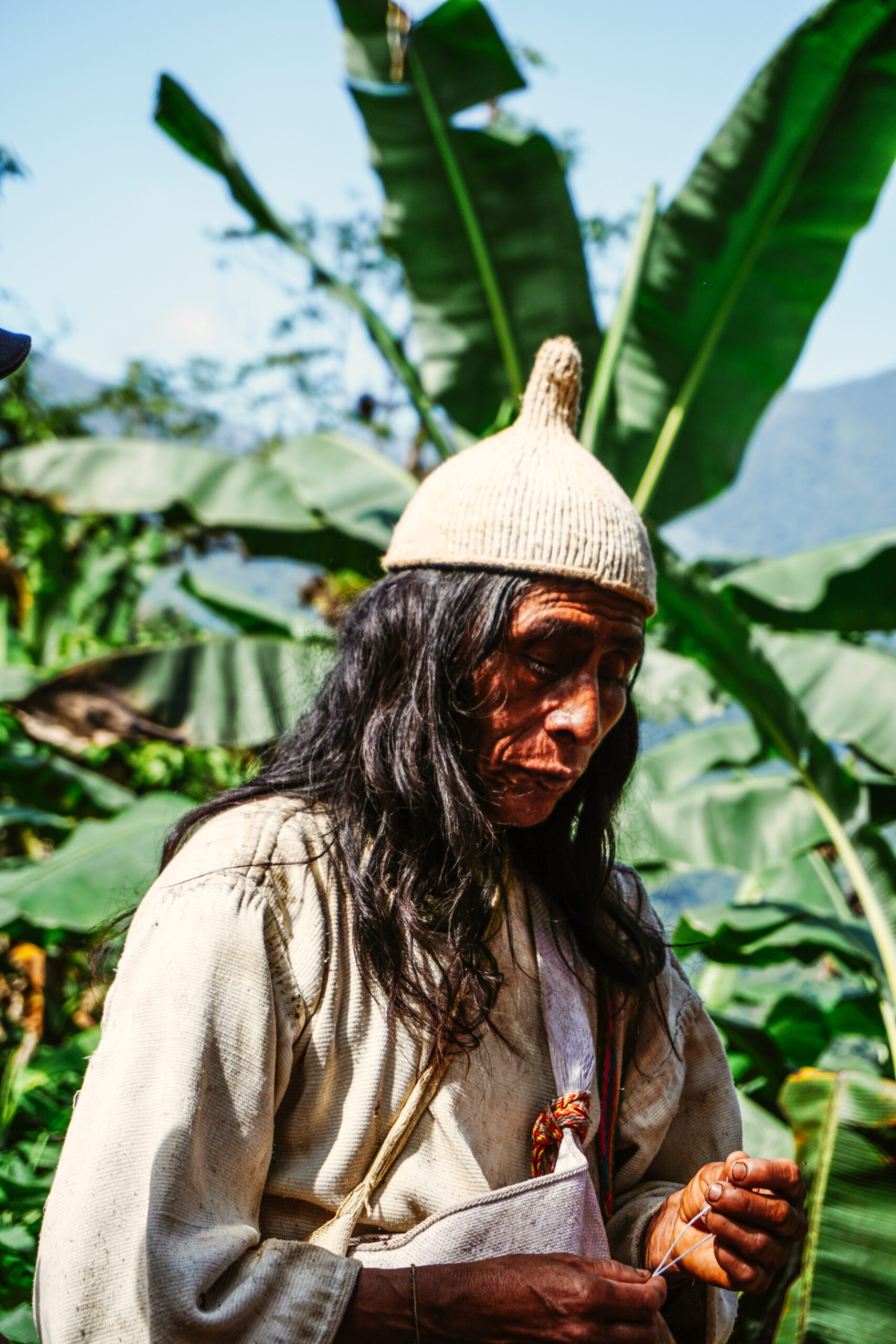 A man from an indigenous community in a banana field. The image illustrates the indigenous people's knowledge of nature.