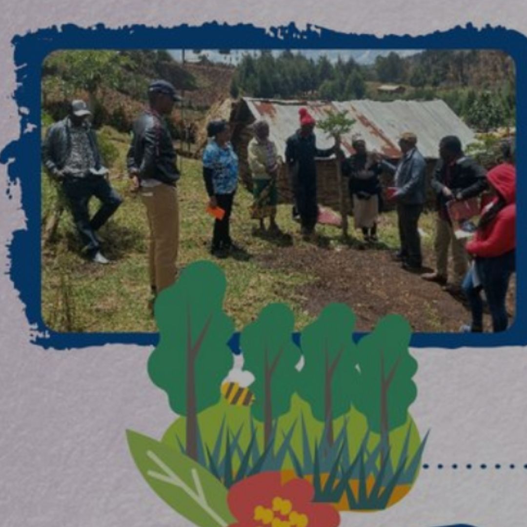 Bright Spot poster for Kenya