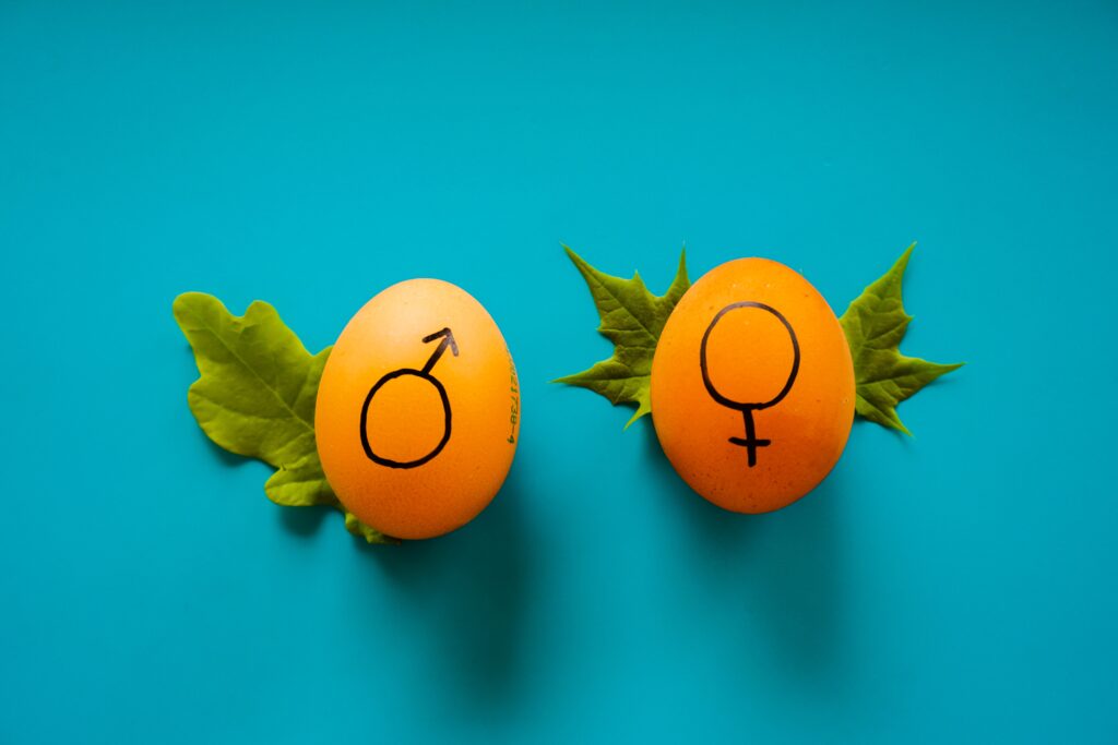 Image illustrating gender equality